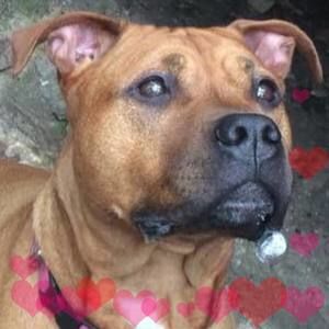 Meet your Posher, April